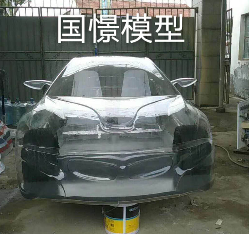 嵊泗县透明车模型